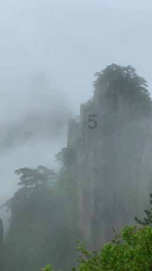 泽卡伤情曝光,莱昂纳多去留有反转,费南多位置或变