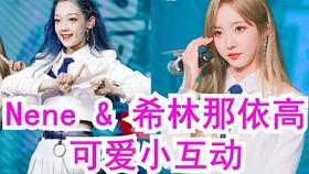 麦克斯：兄弟魔咒