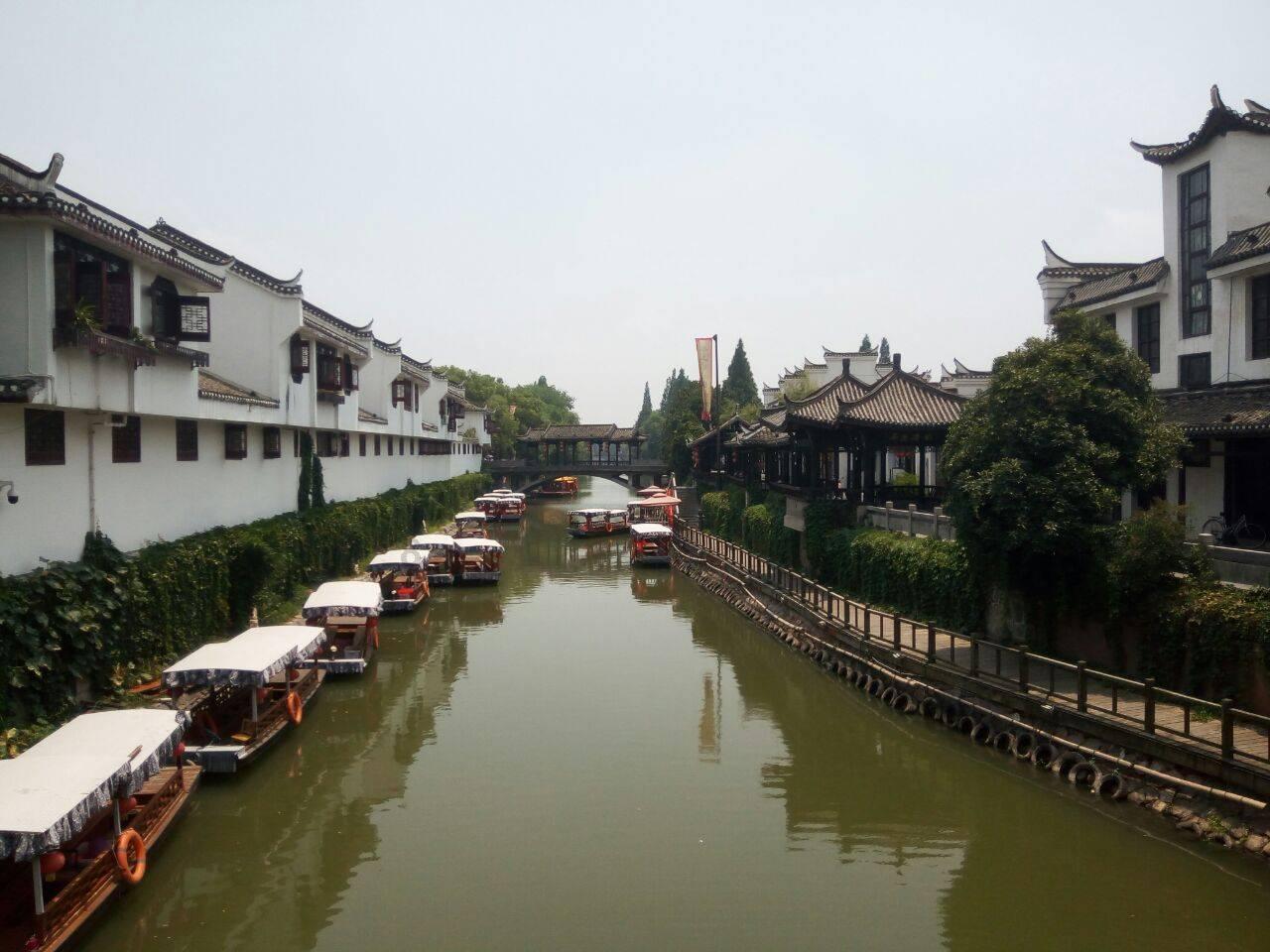 模拟山羊